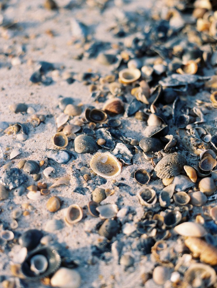 Anniversary Session_Kiley Ann Photography-5.jpg