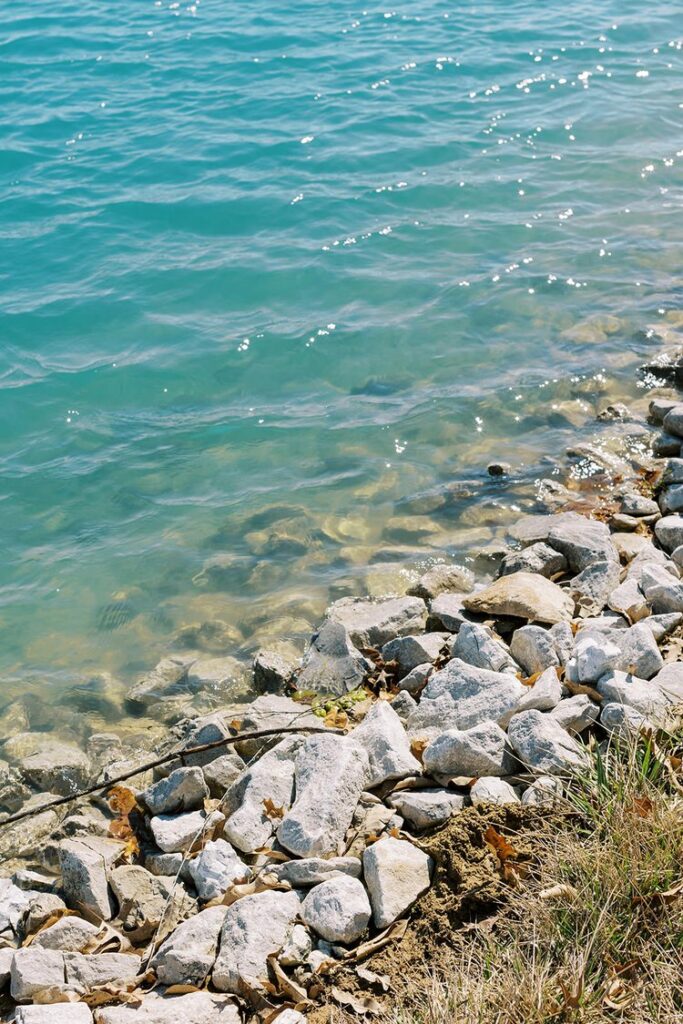 White Wren Submission - Kiley Ann Photography-0002.jpg